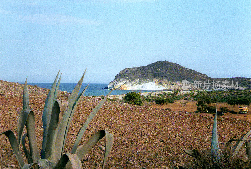 西班牙安达卢西亚Cabo De Gata的龙舌兰植物和美丽的海岸线